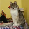 Отзыв от Инна Кукушкина